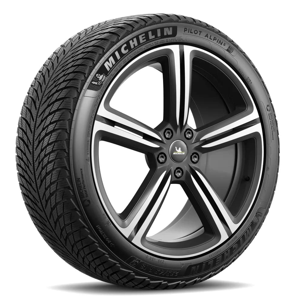 Michelin Pilot Alpin 5 XL 305/30 R21 104V