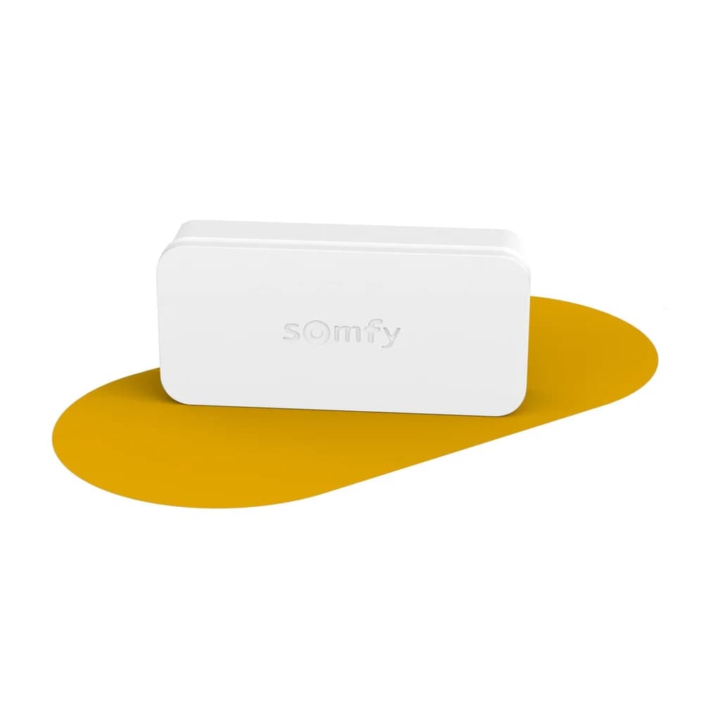 Somfy Funk-Sensor 2401487