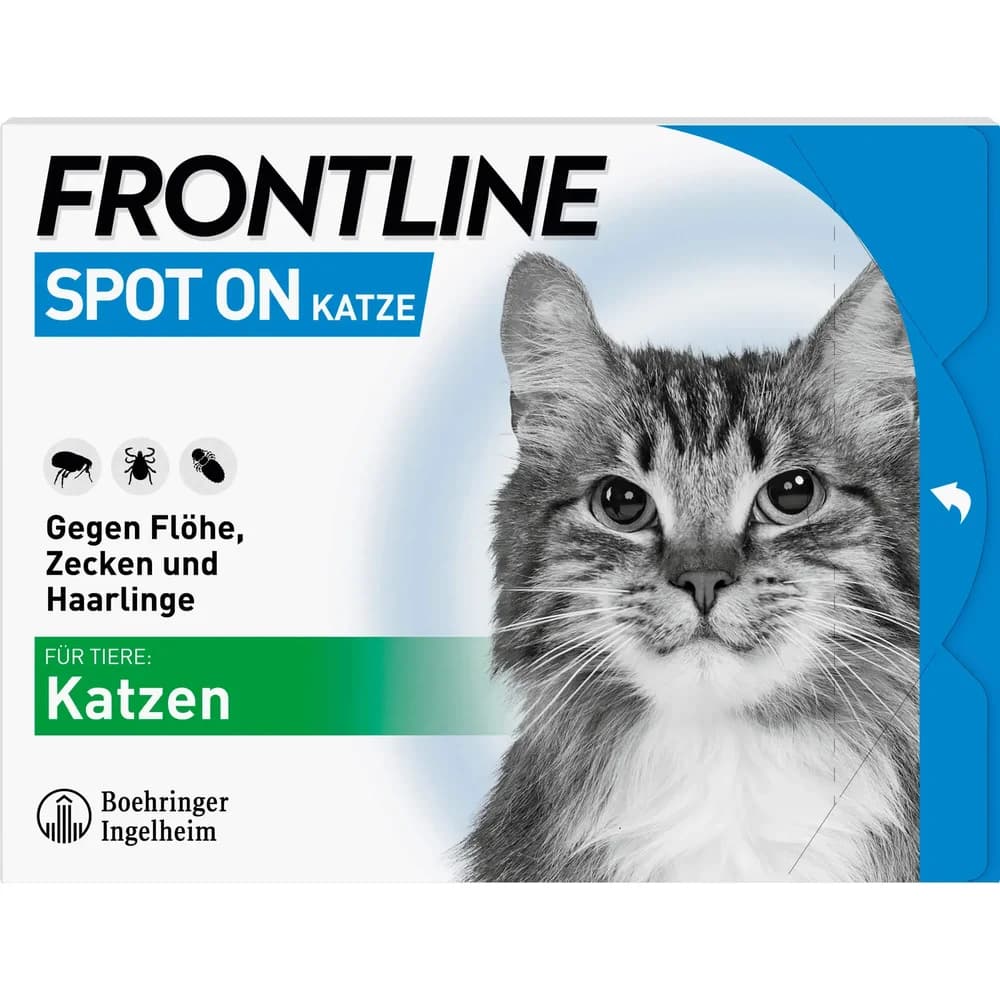 FRONTLINE SPOT ON Katze