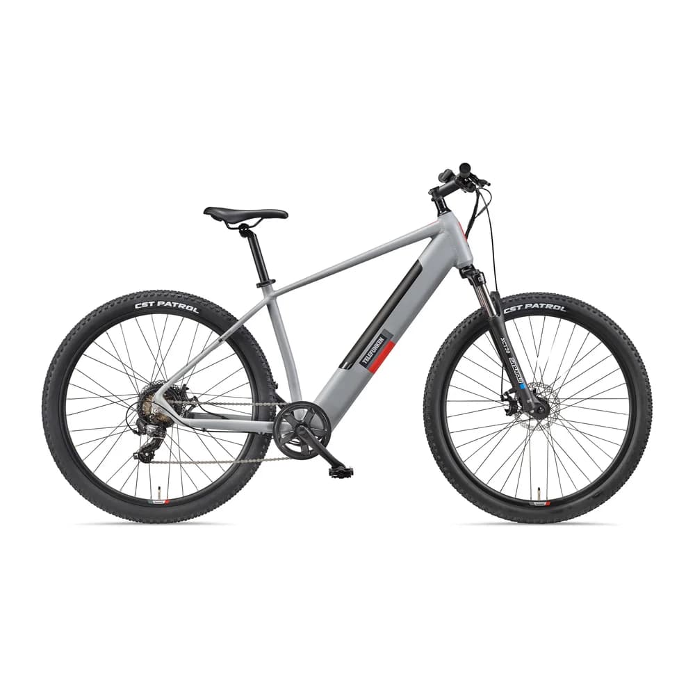TELEFUNKEN M921 E-MTB 29" aluminiumgrau