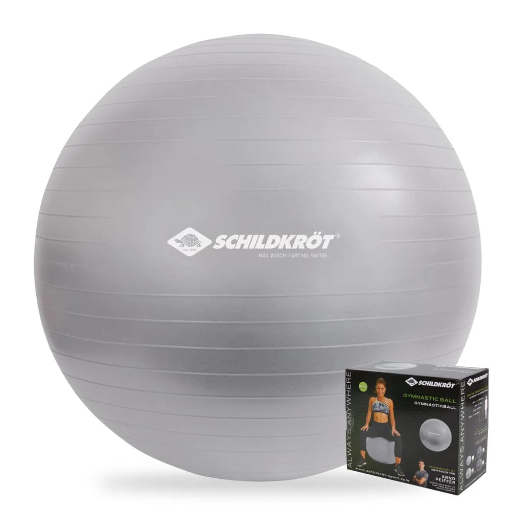 Schildkröt-Fitness Physioball GYMNASTIKBALL 55cm, (silver)