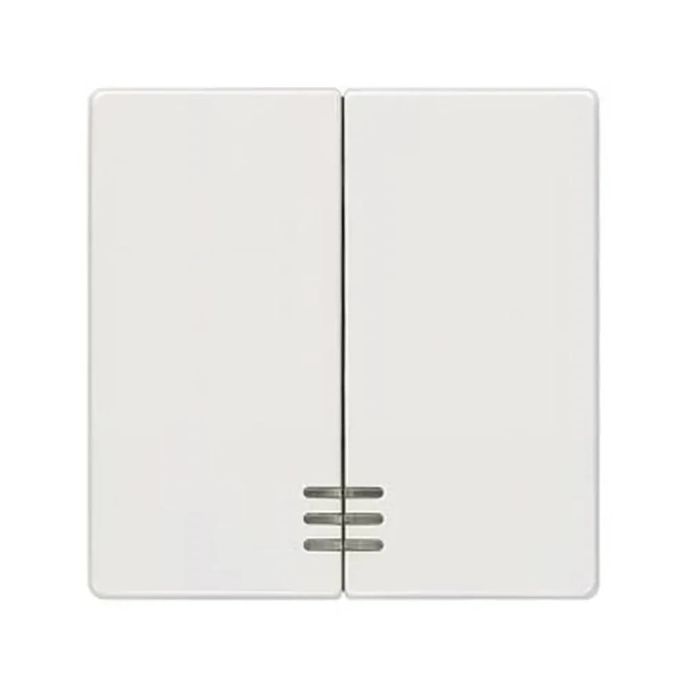Siemens 5TG6204 Wippe 2-fach mit Fenster