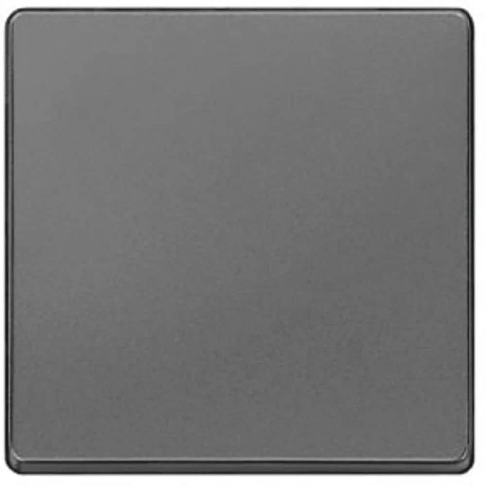 Siemens 5TG6221 Schalterwippe