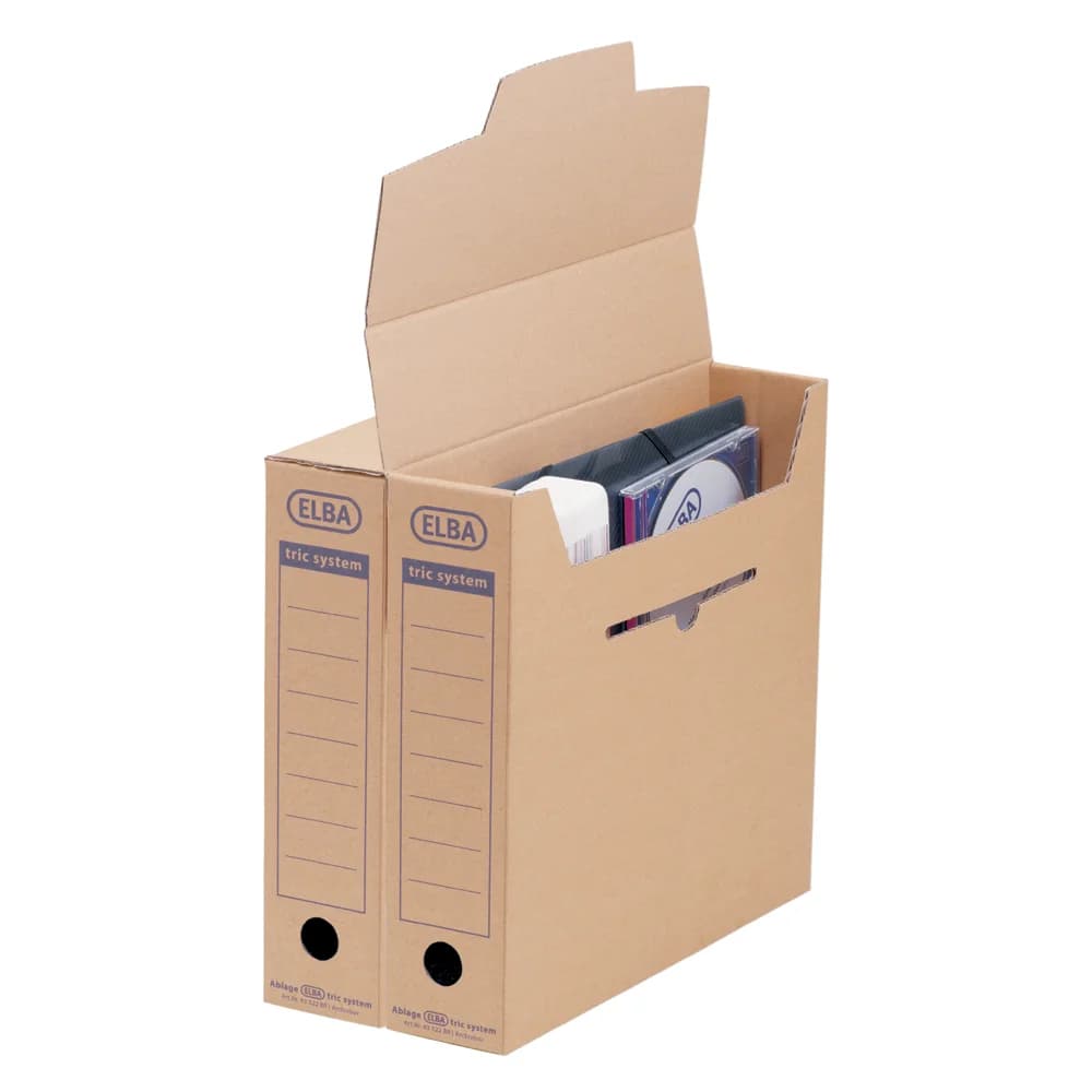 Elba 100421087 Dateiablagebox Karton Hellbraun