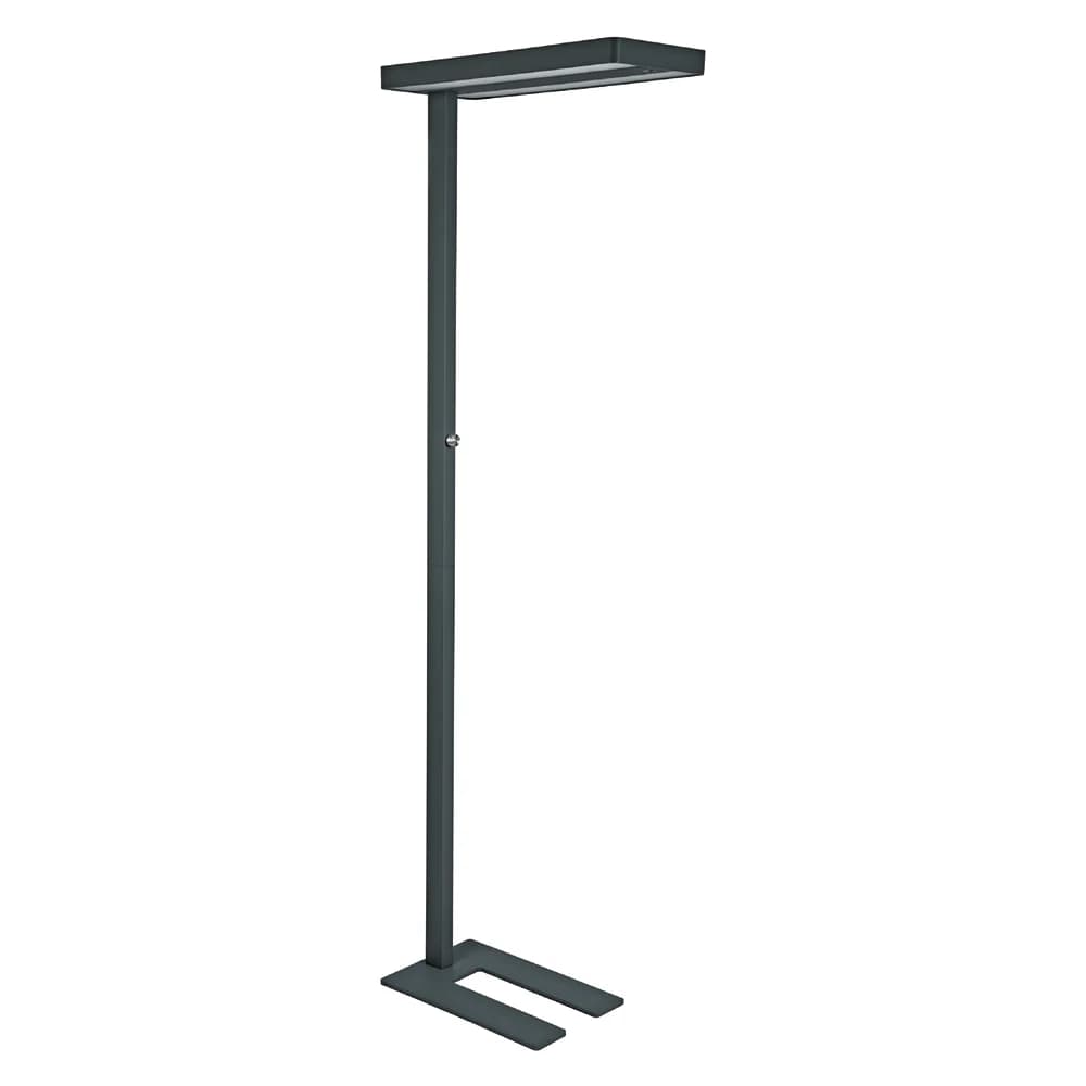 MAUL Standleuchte MAULjuvis LED 4.000 K dimmbar Standfuß 196 cm schwarz