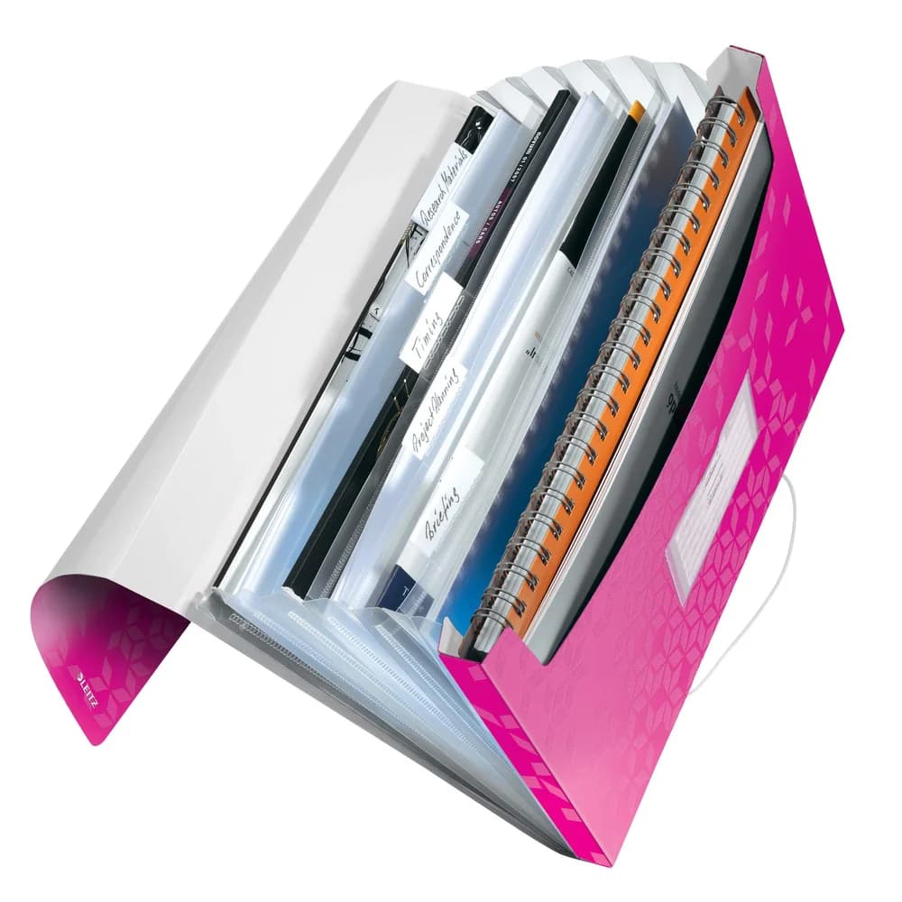 LEITZ Fächermappe DIN A4 6-Fach pink