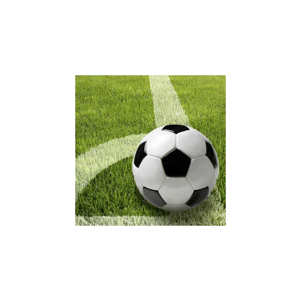 Papstar Fussball 20 Servietten