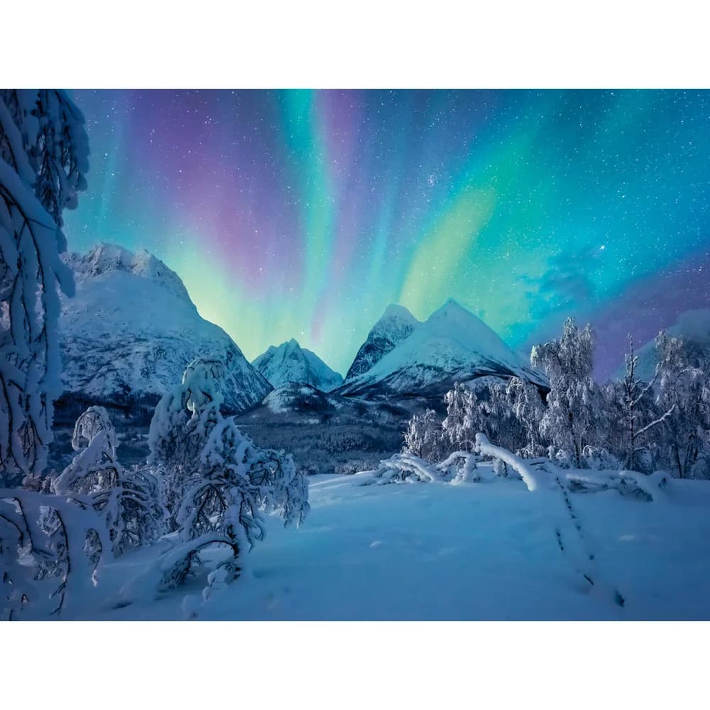Ravensburger Puzzle Erwachsenenpuzzle Power of Nature 1500 Teile - Wenn die Nordlichter..., Puzzleteile