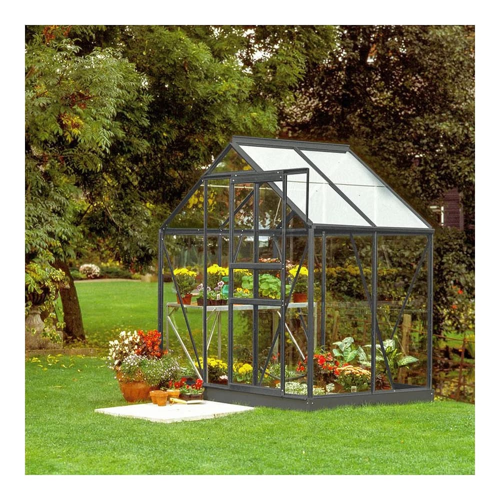 Vitavia Gewächshaus "Venus 2500",schwarz,2,5 m2
