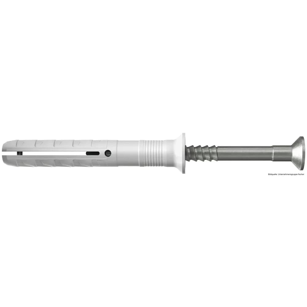 Nageldübel N 8x60 S A2 VPE 50