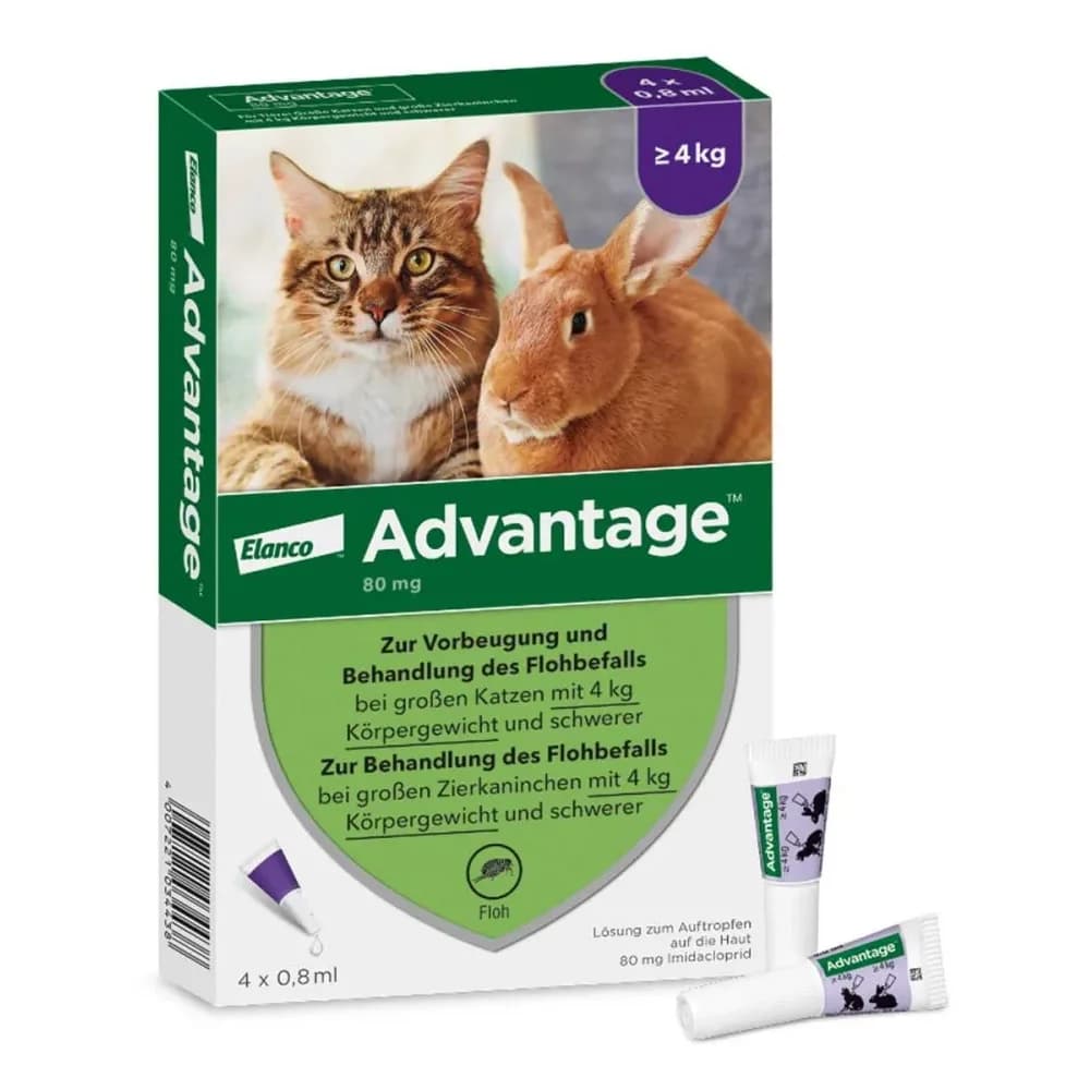 Advantage 80 mg Lösung große Katzen/Zierkaninchen