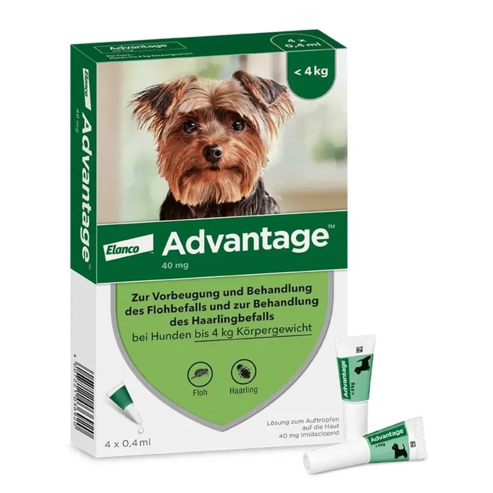 ADVANTAGE 40 HUND 4 St Lösung