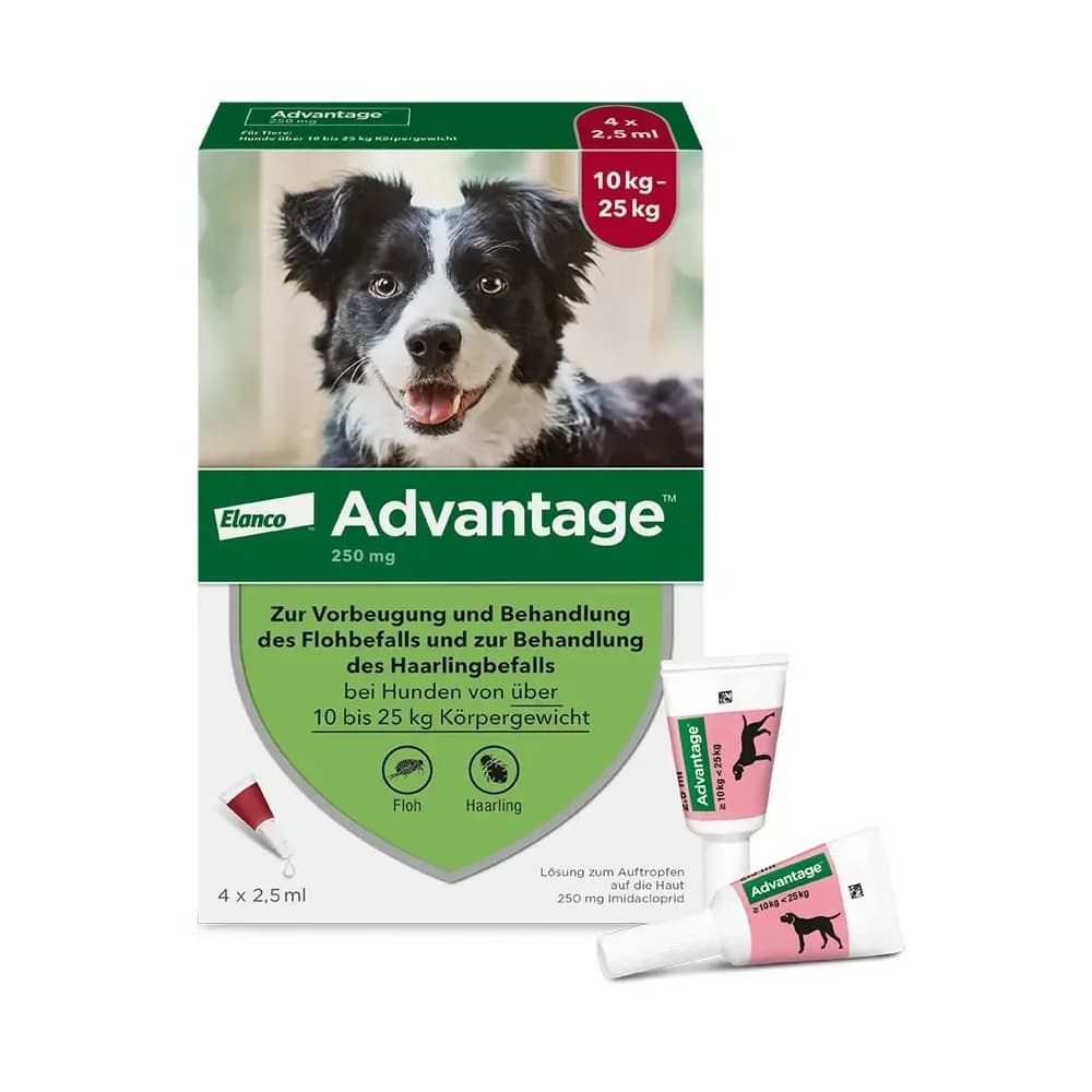 ADVANTAGE 250 HUND 4 St Lösung