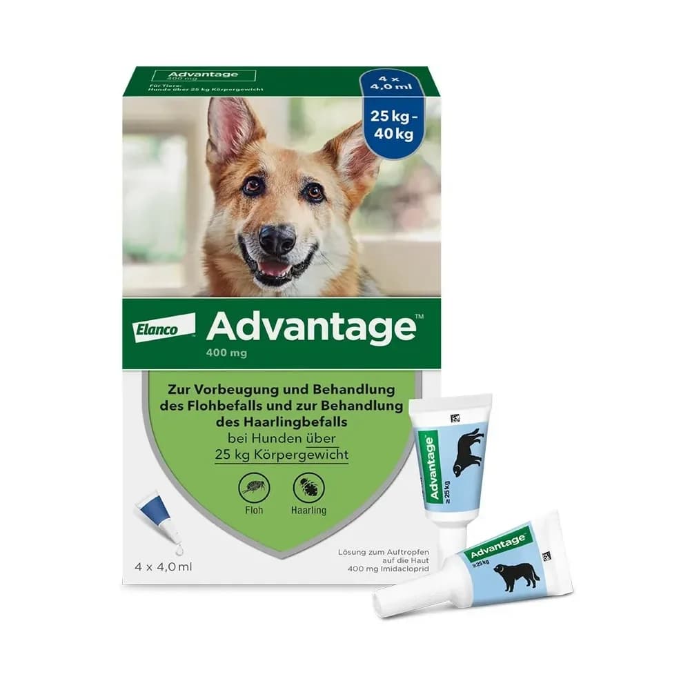 ADVANTAGE 400 HUND PIPETTE 1X4 St Lösung