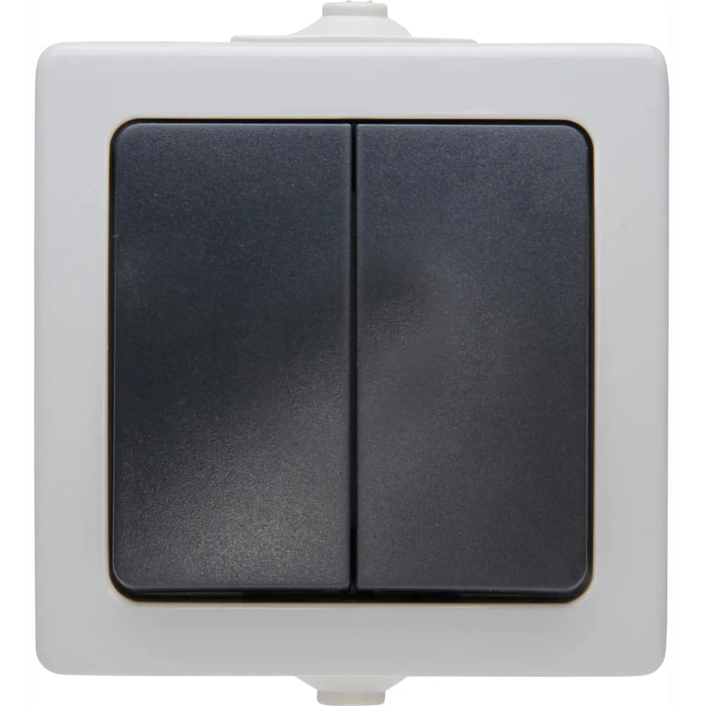Kopp Abdeckrahmen 565556008 grau