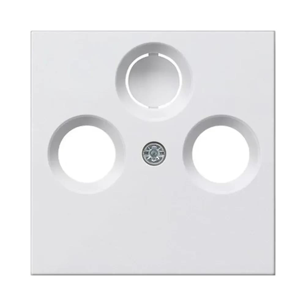 Gira Zentralplatte rws-gl 086903