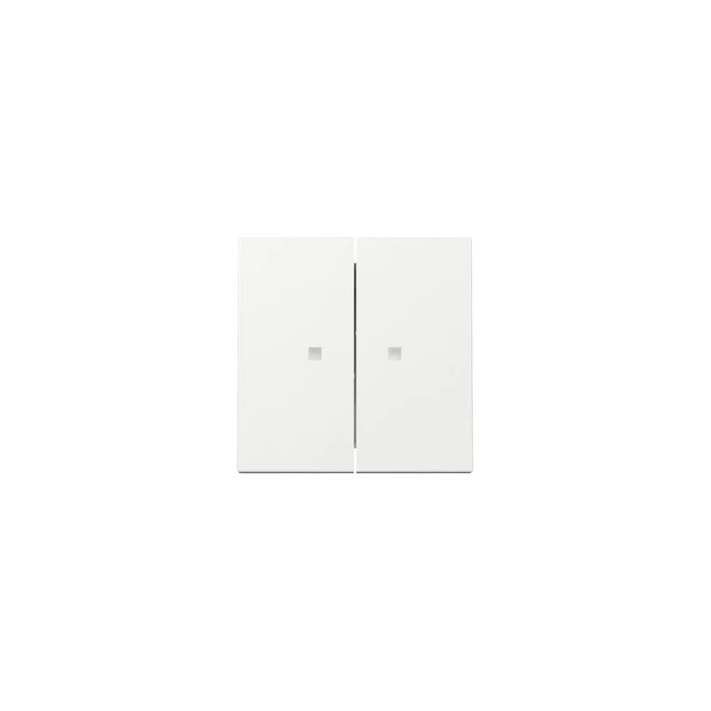 Gira Wippe 2f Kontrollf. 363103