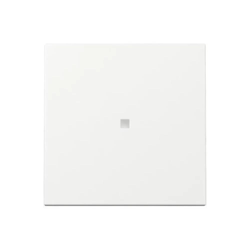 Gira Wippe Kontrollf. 329003