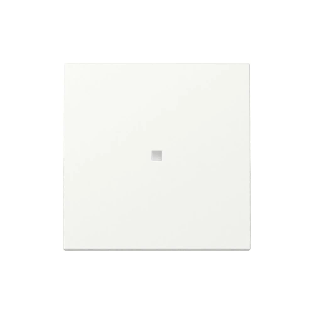 Gira Wippe Kontrollf. 329027
