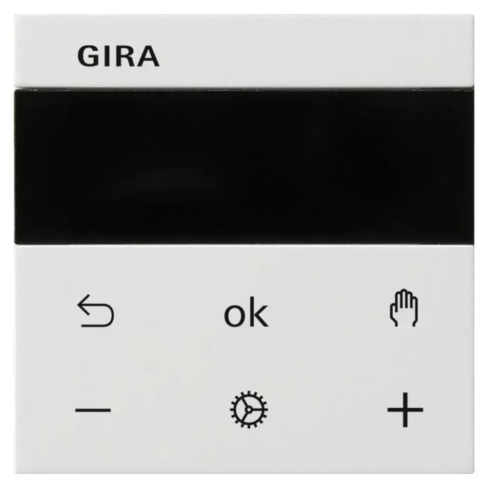 Gira RTR Display 539303