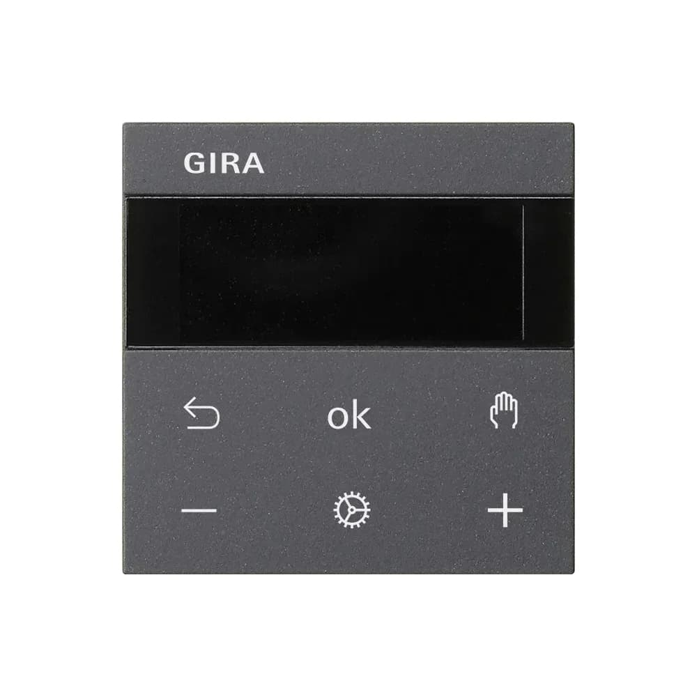 Gira RTR Display 539328