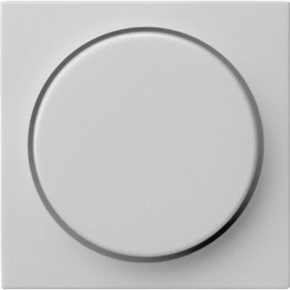 Gira Abdeckung 0650015