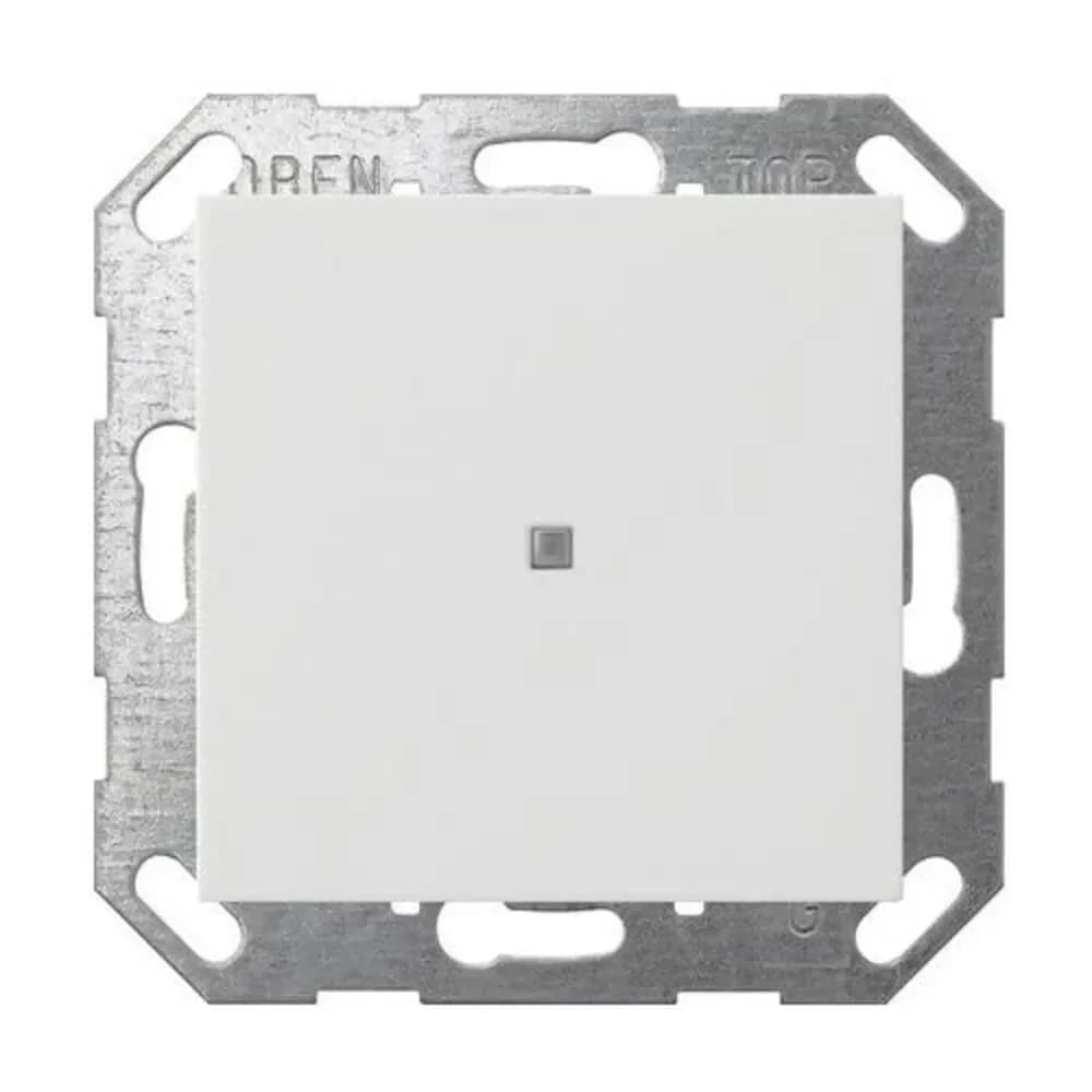 Gira Taster Wippe 517103