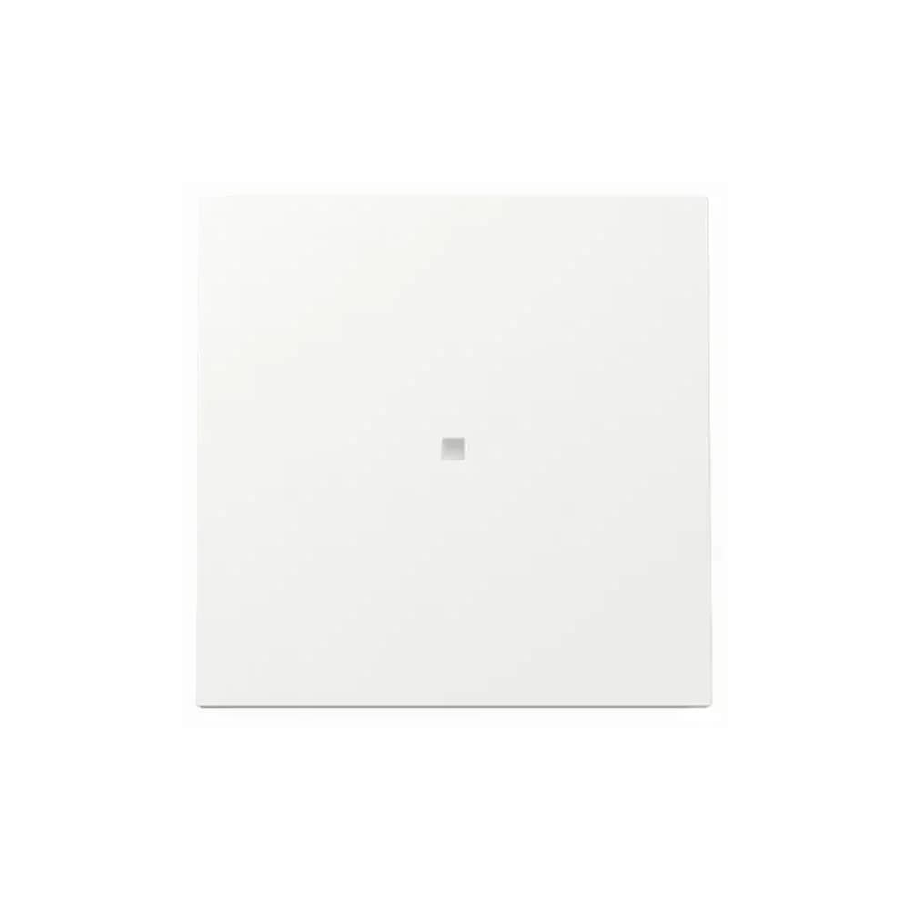 Gira Wippe Kontrollf. 329070