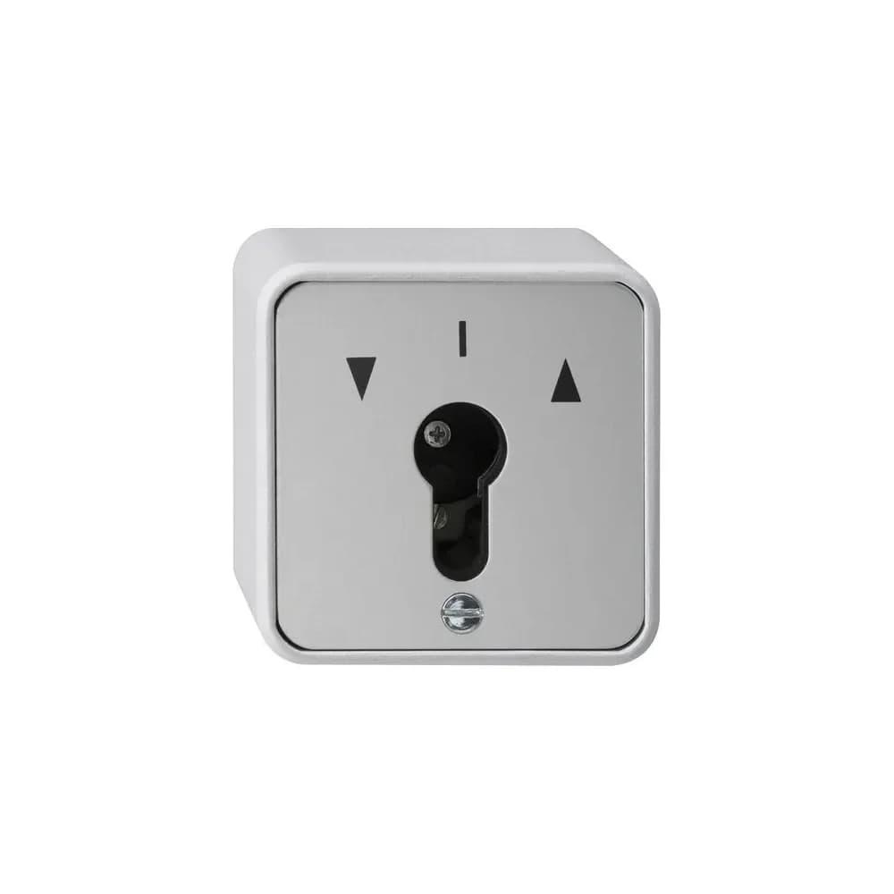 Gira Schlüsseltaster 016330