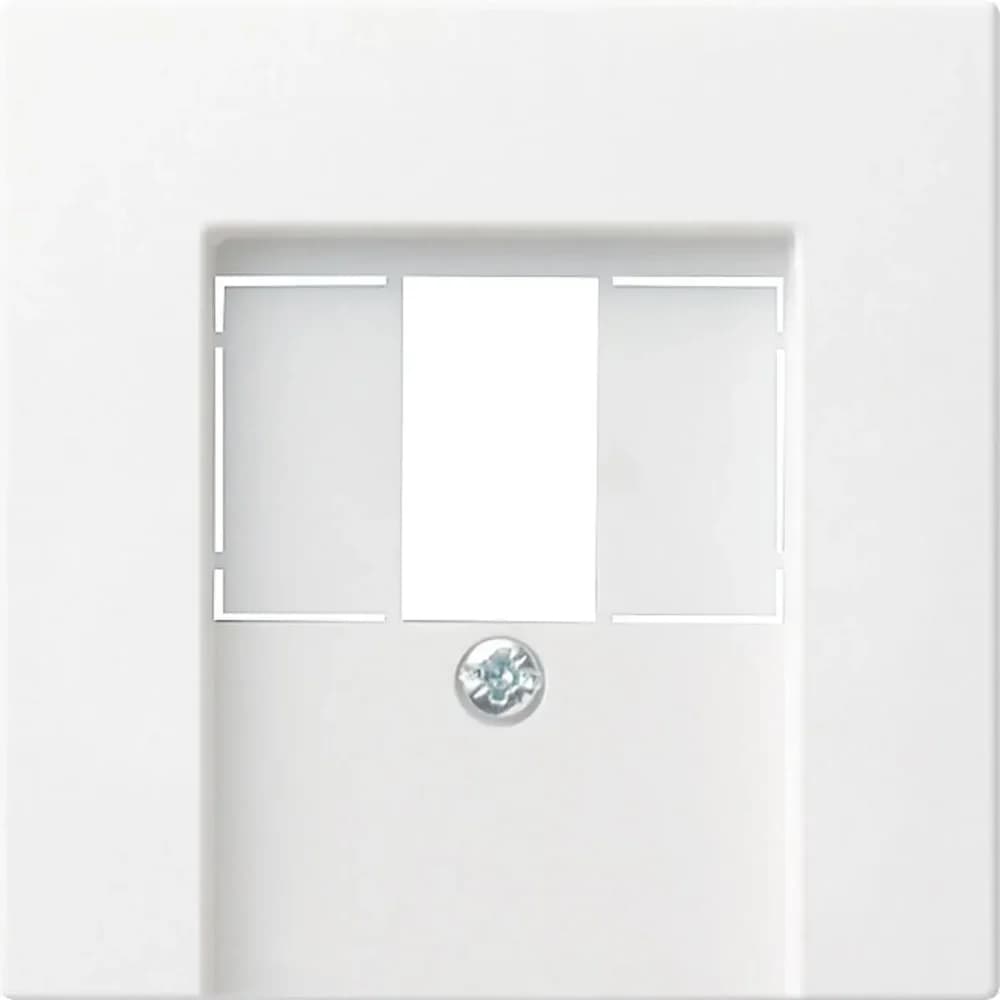 Gira Zentralabdeckung  rws-gl 027603