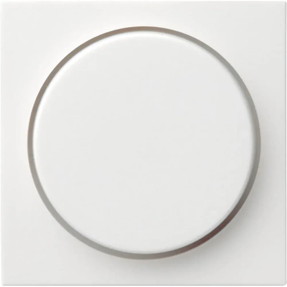 Gira Abdeckung rws-gl 065003