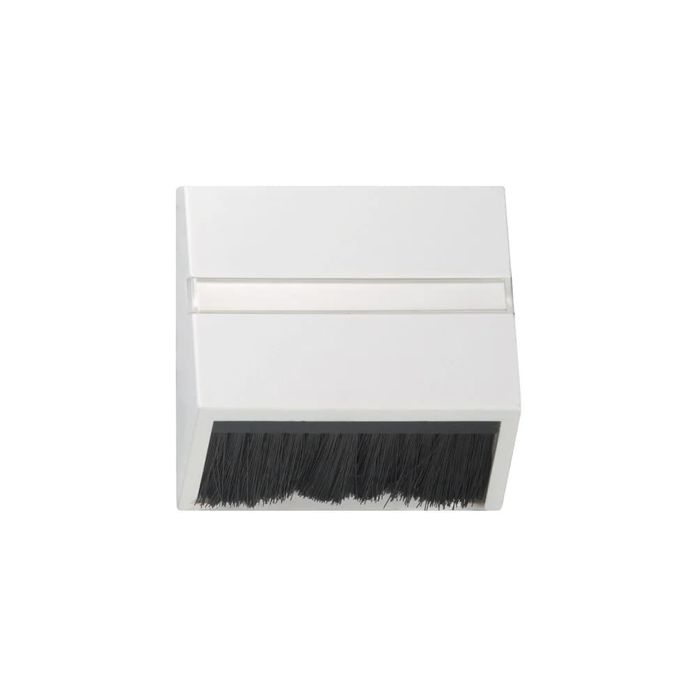 Gira Zentralplatte rws-gl 068203