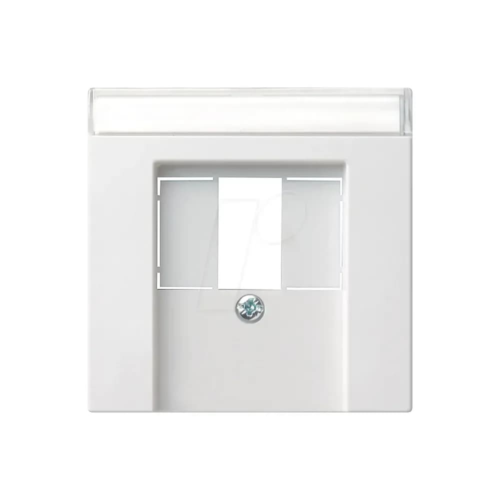 Gira Zentralplatte rws-gl 087603