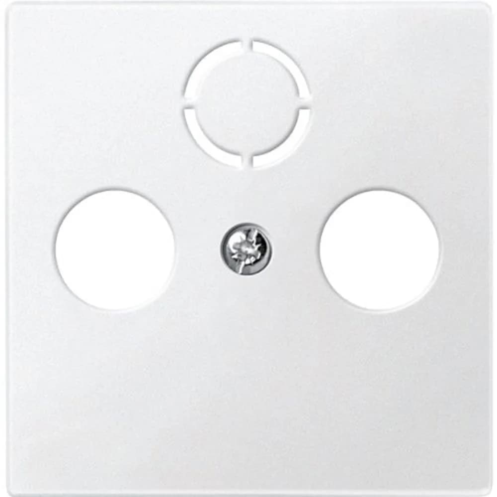 Merten Zentralplatte pws 297519