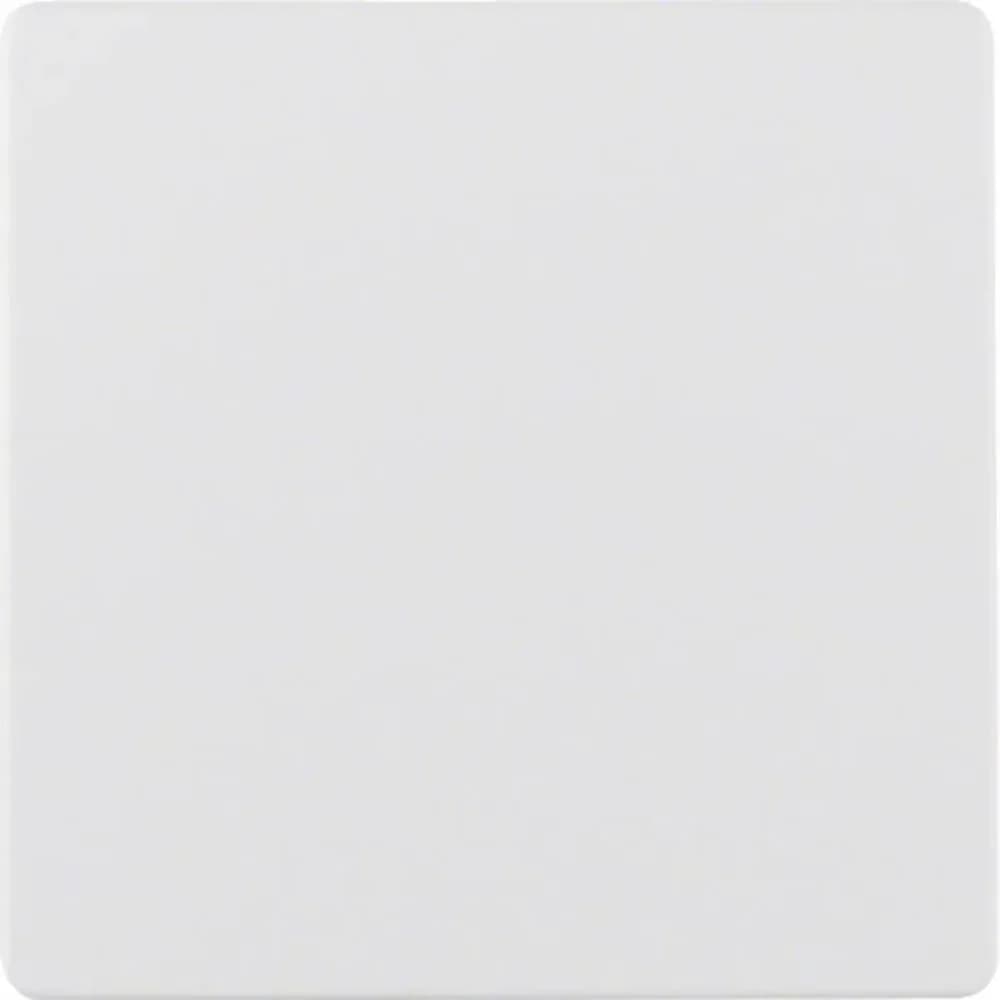 Berker Zentralplatte pws 75940489