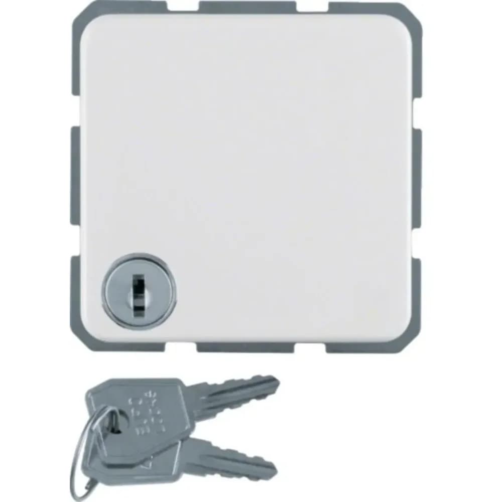 Berker Schuko-Steckd.pws 476309