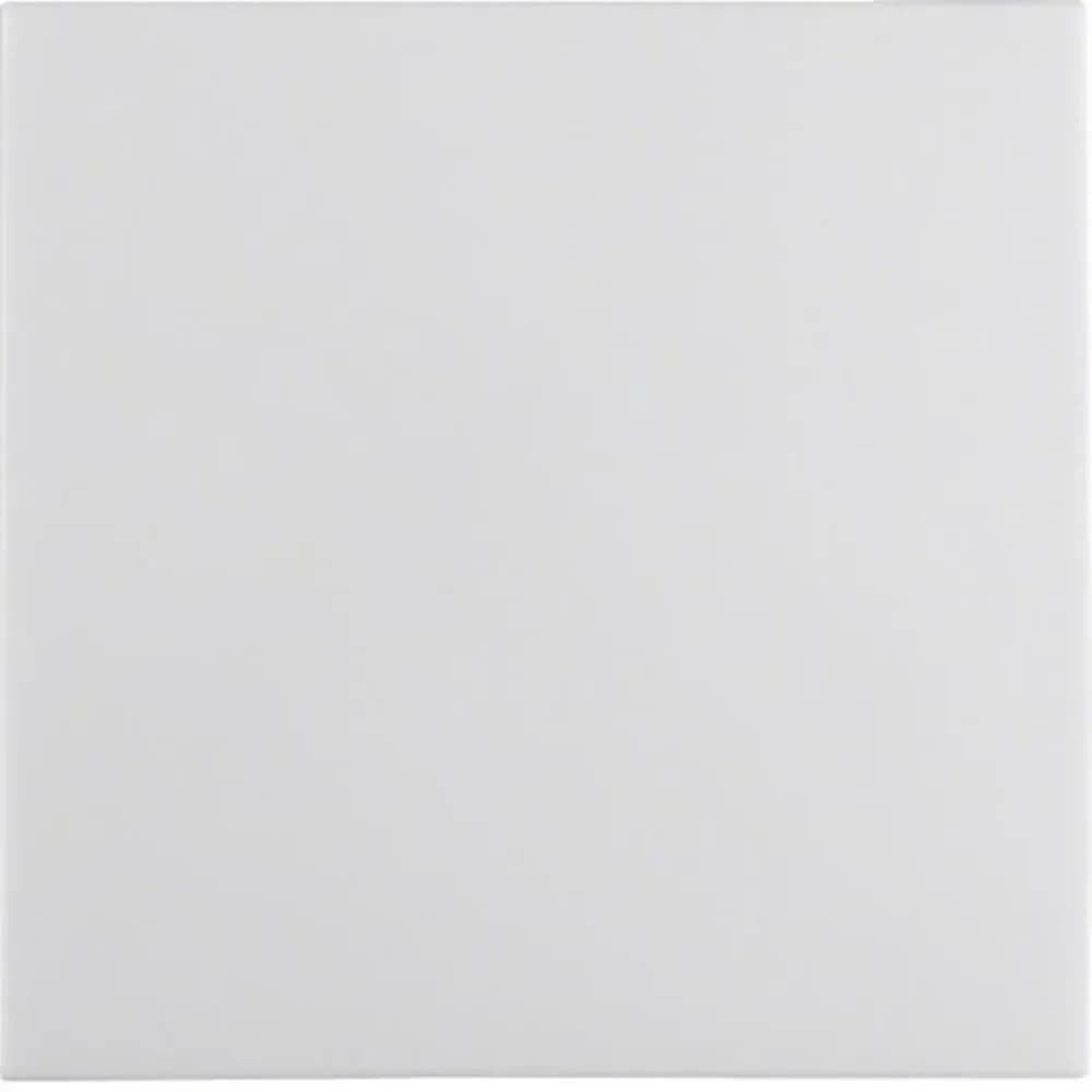 Berker Wippe pws/gl 16208989