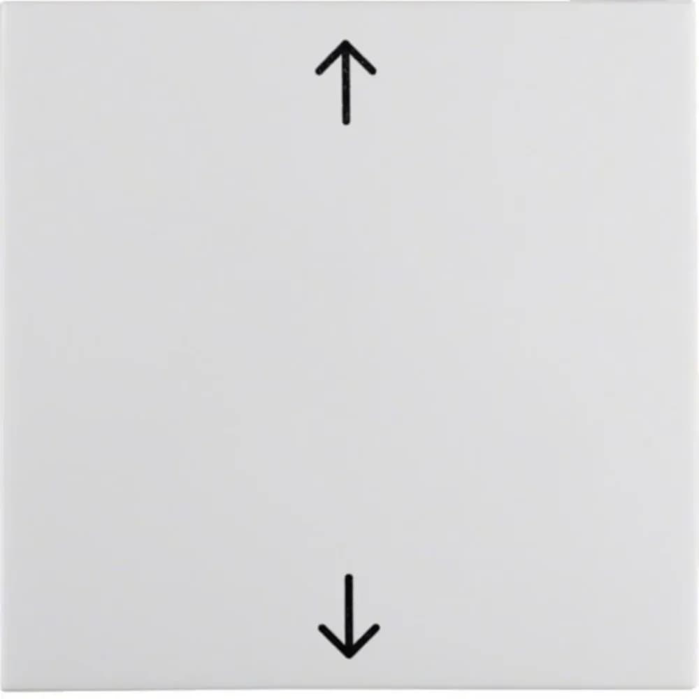 Berker Wippe pws/gl 16208919