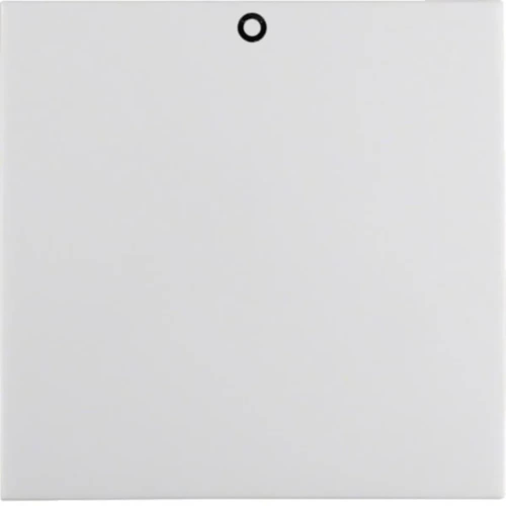 Berker Wippe pws/gl 16228989