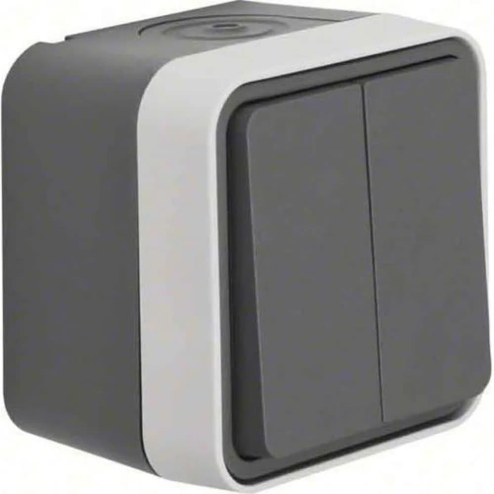 Berker Serienschalter 30753505