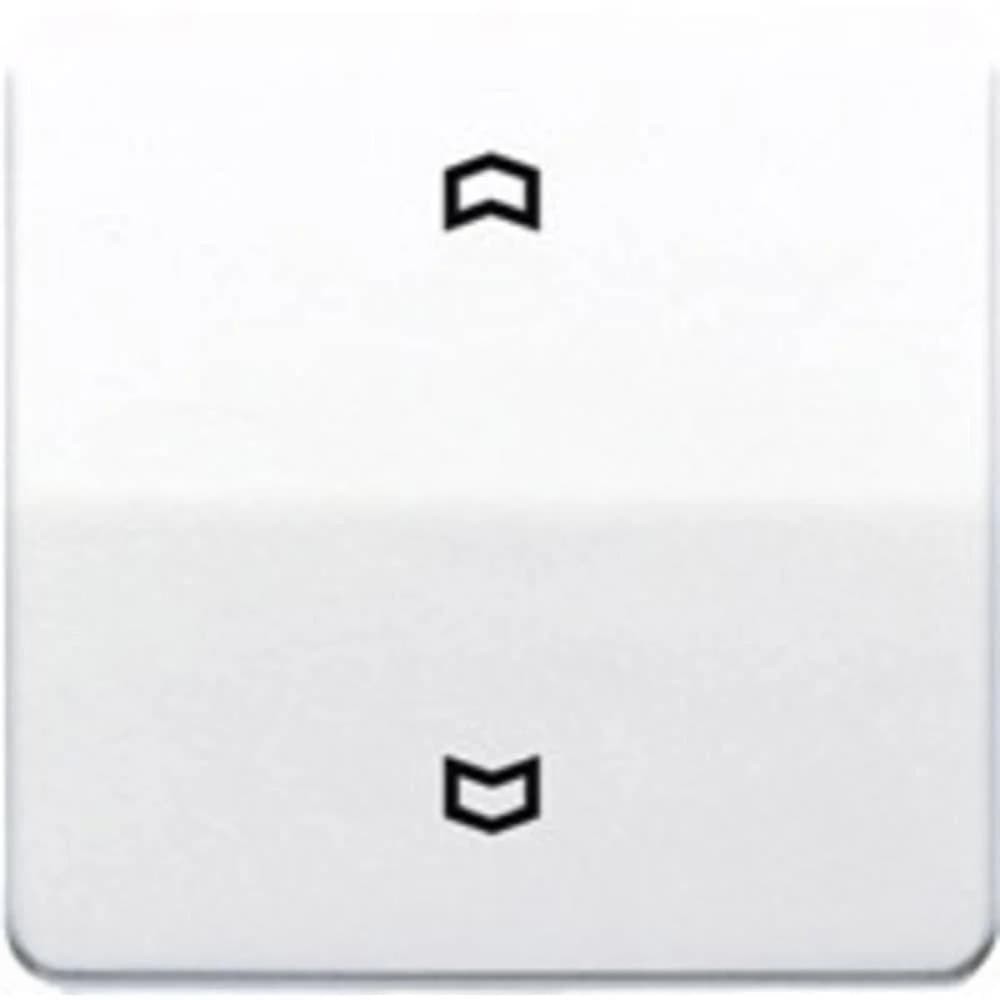 Jung Wippe Symbole aws CD 590 P WW