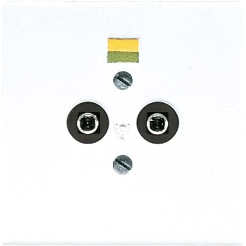 Jung Potential-Ausgl.Steckdose LS 965-2 WW