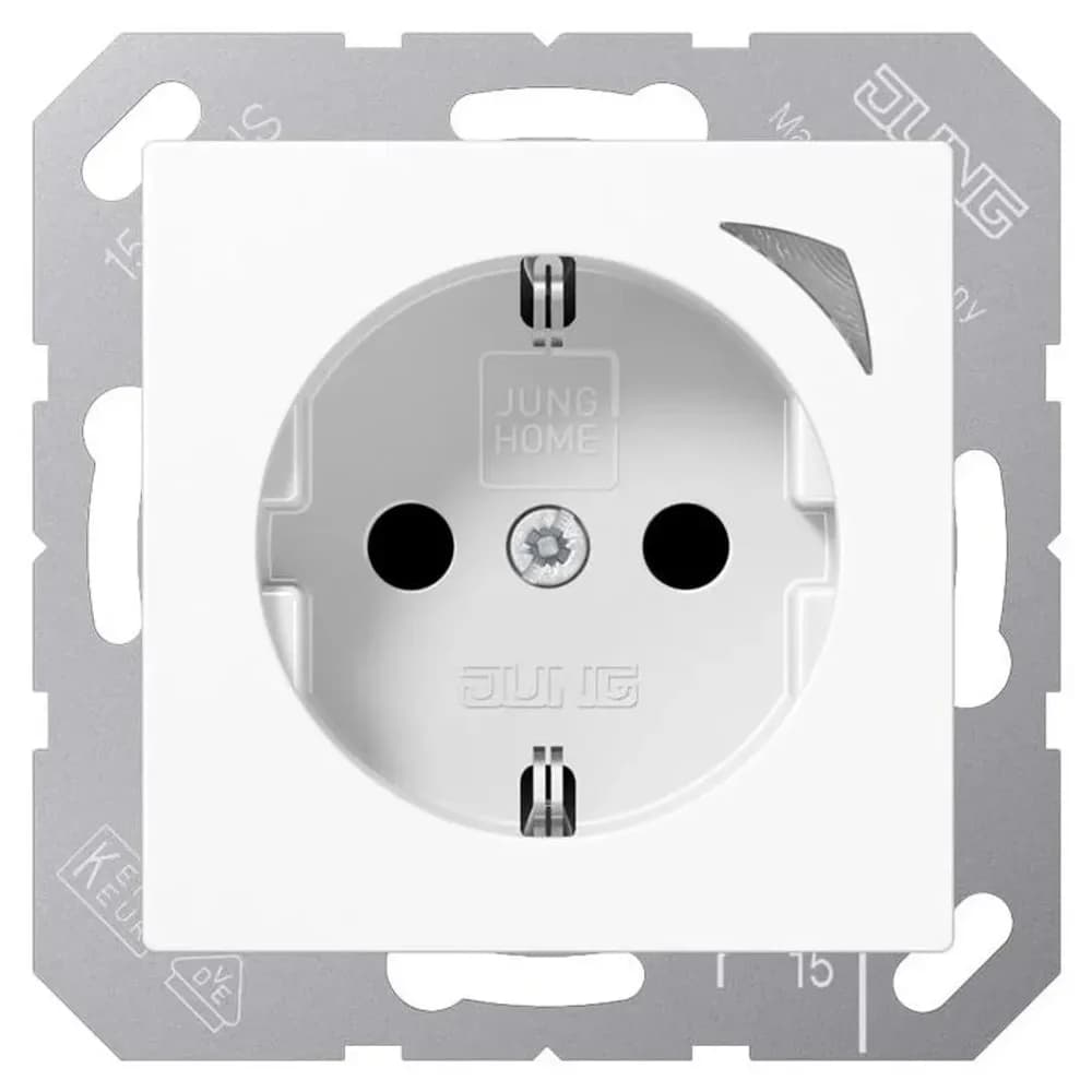 Jung SCHUKO Steckdose BT A 1521 SE WW