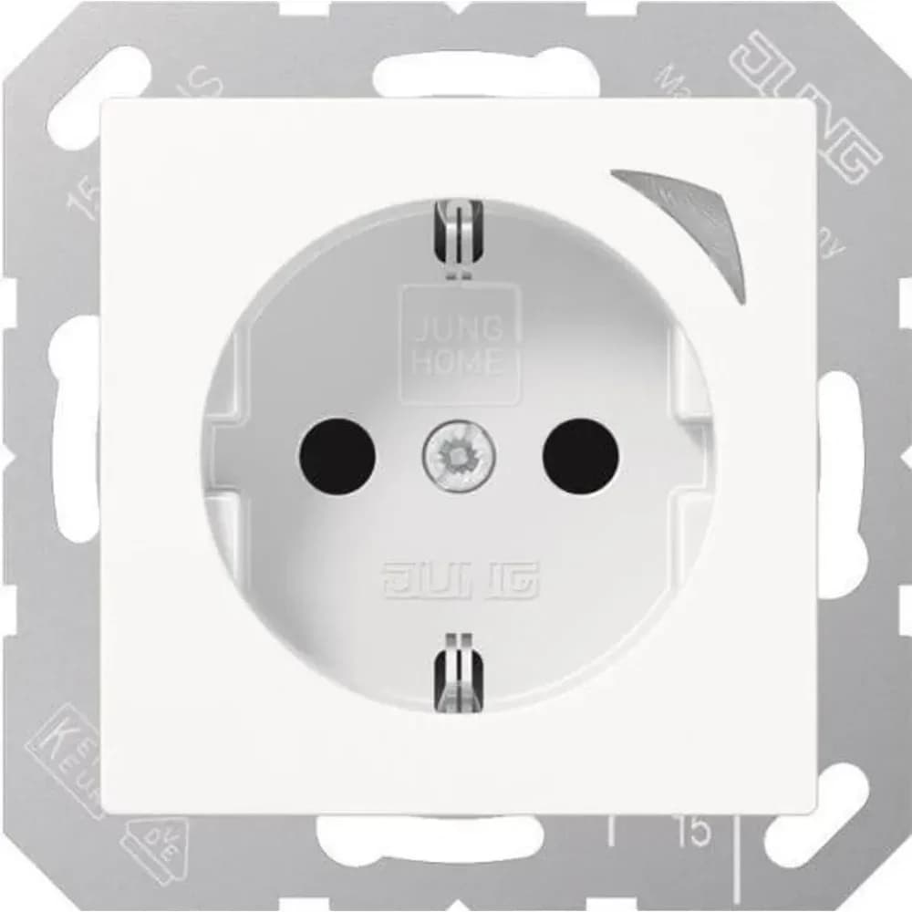 Jung SCHUKO Steckdose BT A 1521 S WW