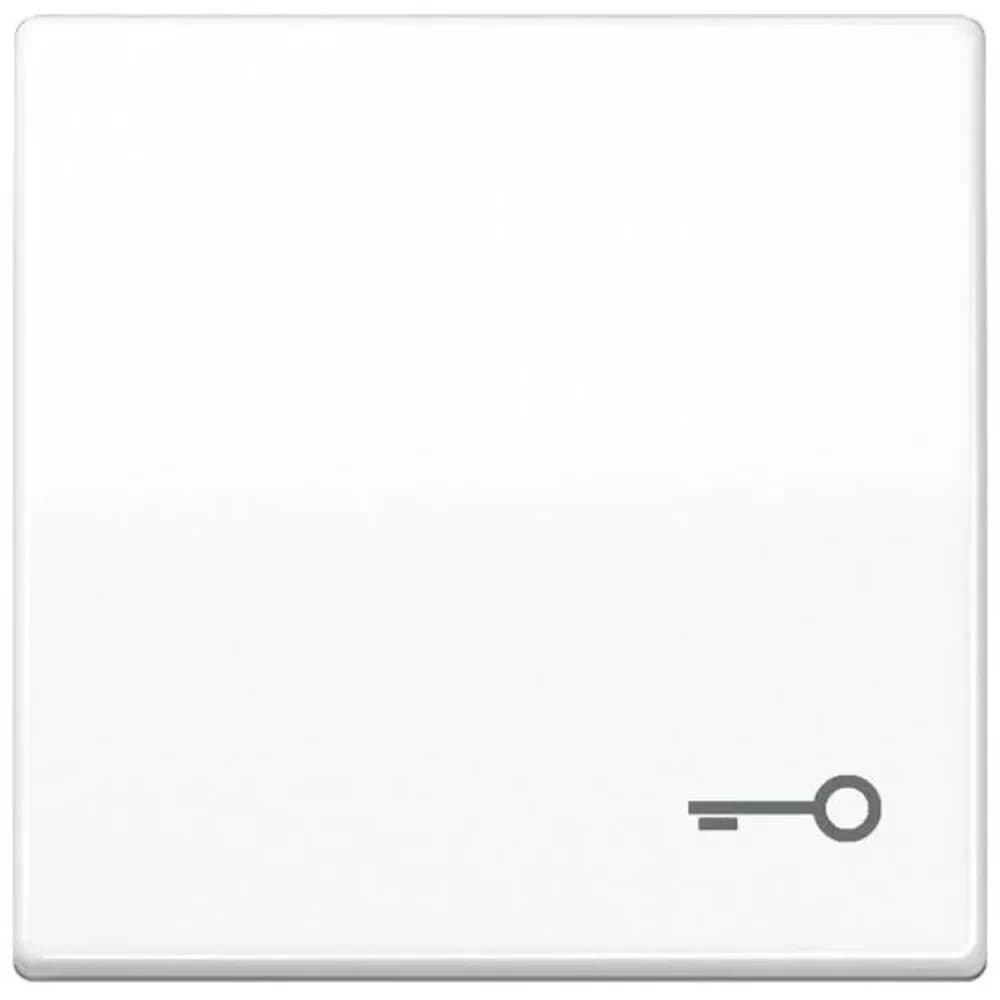 Jung Wippe Symbol TÜR aws AS 591 T WW