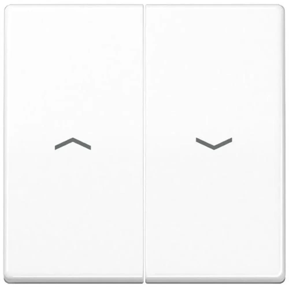 Jung Wippe Symbole aws AS 591-5 P WW