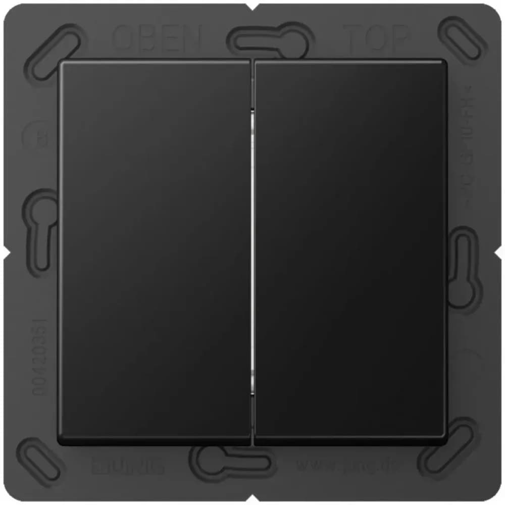Jung Matter Taster 2f MAT A 595 SWM
