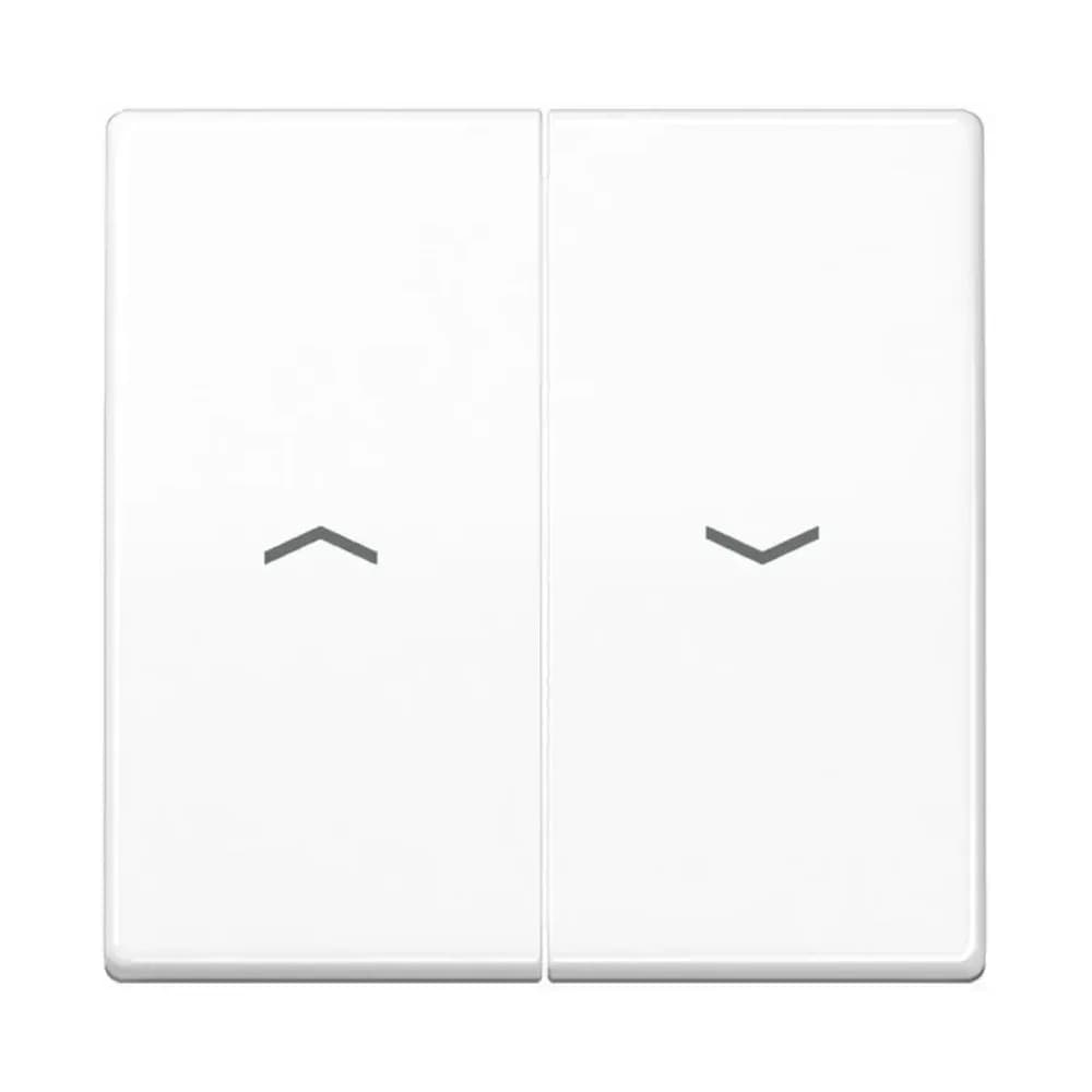 Jung Wippe Symbole aws AS 591-5 PBF WW