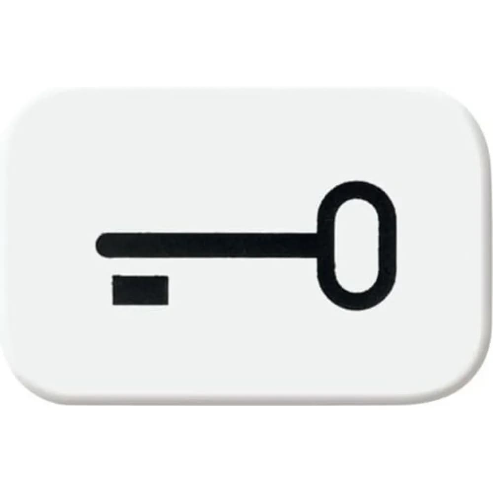 Tastersymbol "Schlüssel" (alpinweiß)