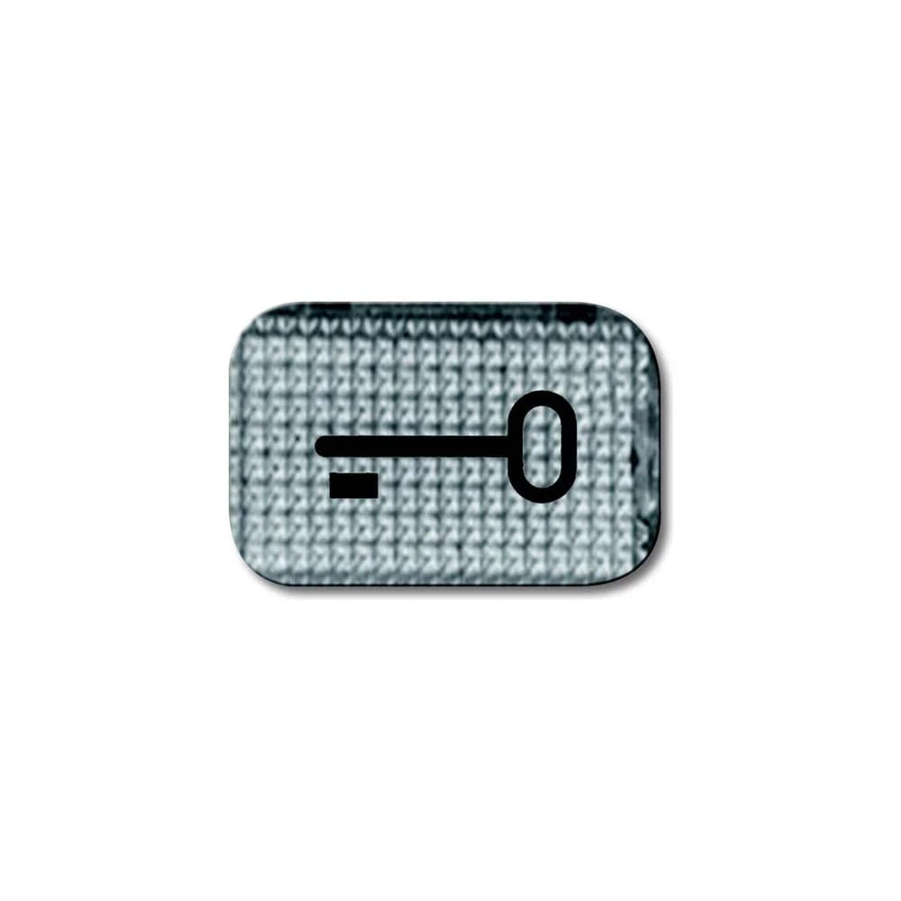 Busch-Jaeger Tastersymbol 2145 TR